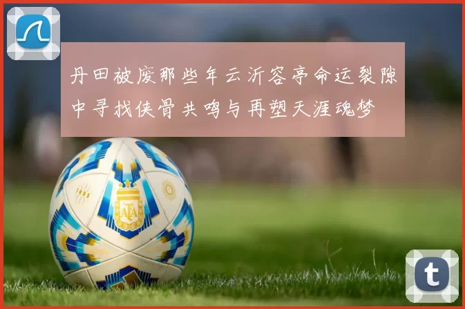 丹田被废那些年云沂容亭命运裂隙中寻找侠骨共鸣与再塑天涯魂梦