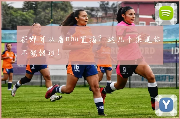 在哪可以看nba直播？这几个渠道你不能错过！