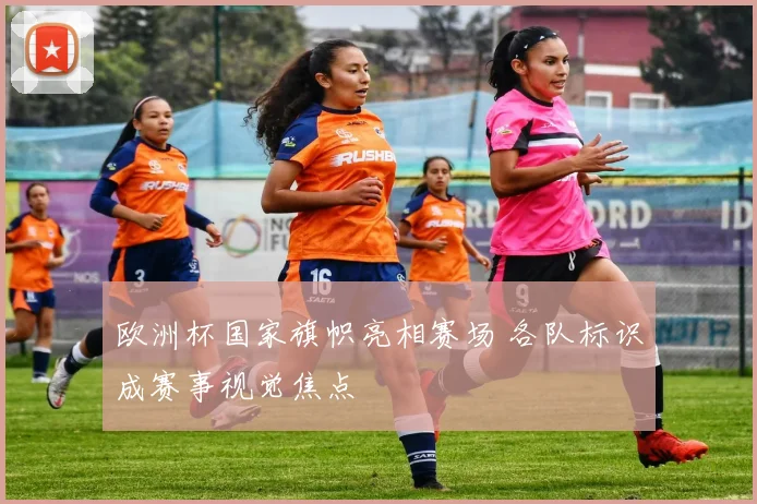 欧洲杯国家旗帜亮相赛场 各队标识成赛事视觉焦点