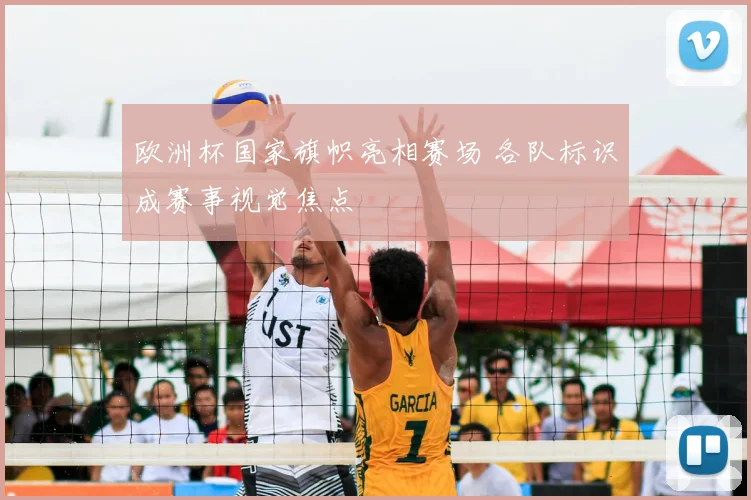 欧洲杯国家旗帜亮相赛场 各队标识成赛事视觉焦点