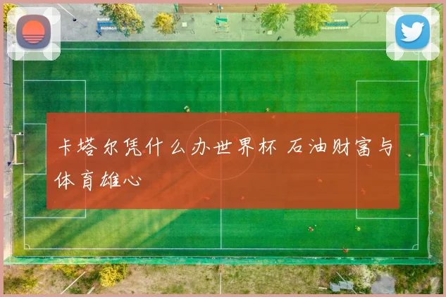 卡塔尔凭什么办世界杯 石油财富与体育雄心